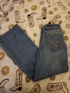 Women’s Blue Denim Jeans - Trouser